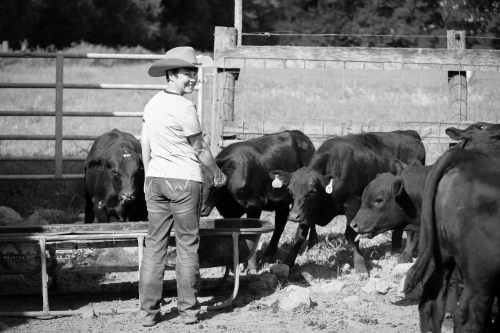 Cattle have been a part of my life from the very beginning.